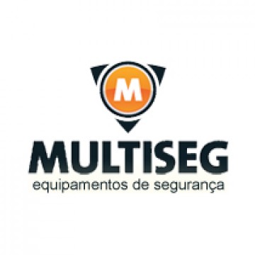Multiseg